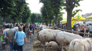 Torna a Carcare la Fiera del Bestiame