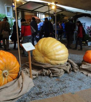 Festa della Zucca di Murta