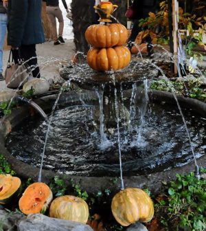 Festa della Zucca di Murta