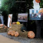 Festa della Zucca di Murta