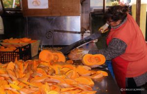 Festa della Zucca di Murta