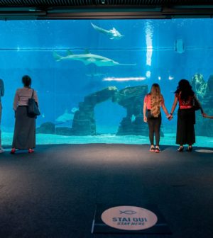 Acquario di Genova