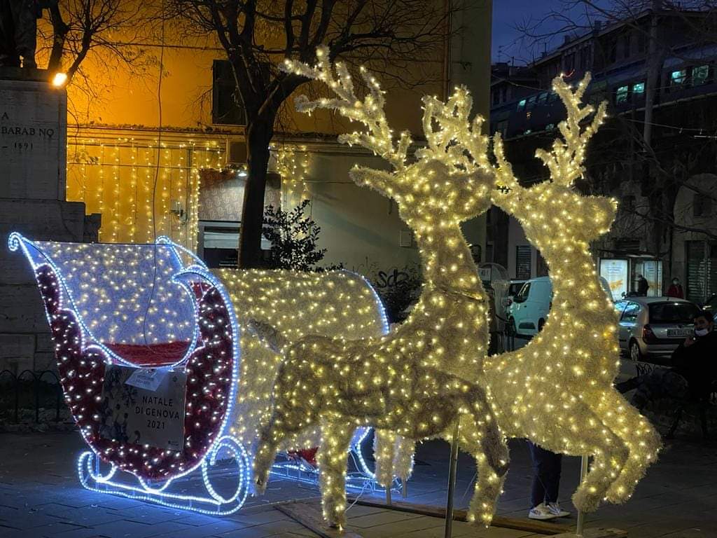 GENOVA ILLUMINA IL NATALE OGGI L'ACCENSIONE DELL'ALBERO IN PIAZZA DE